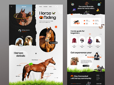 Horse Riding landing page design figma ui ux