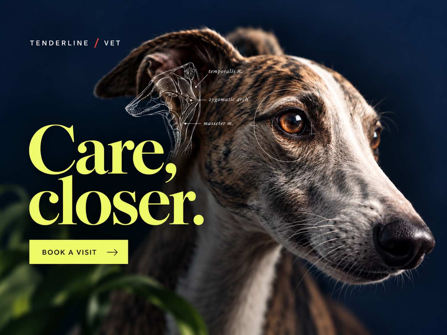 Tenderline Vet — Veterinary Website Design editorial design landing page veterinary web design
