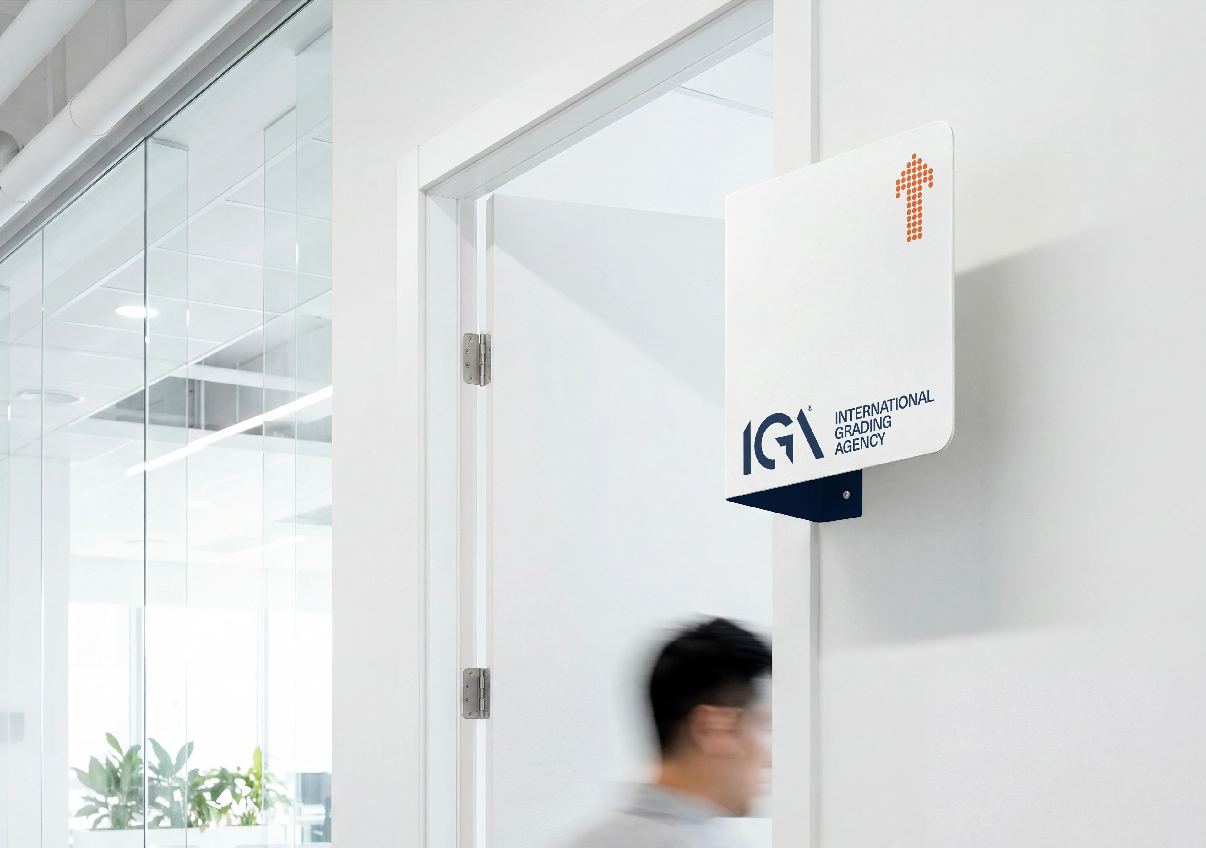 International Grading Agency | Brand Identity blue brand guidelines brand identity branding corporate identity download folder mockup free freebie glass signage mockup mockupcloud office branding presentation signage mockup