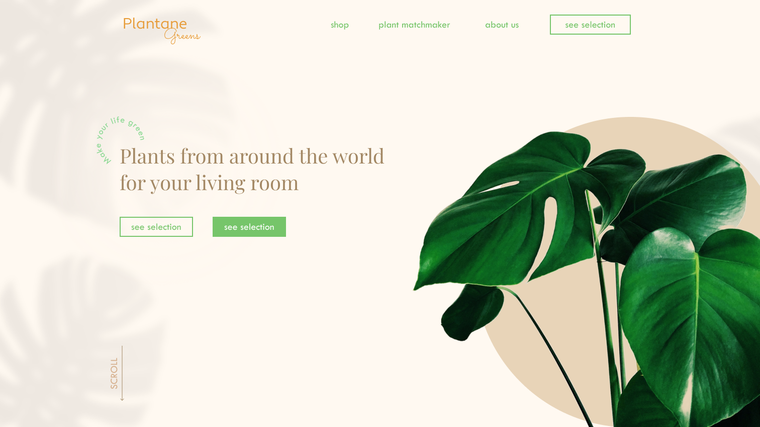 Example of Feminine Plant Website