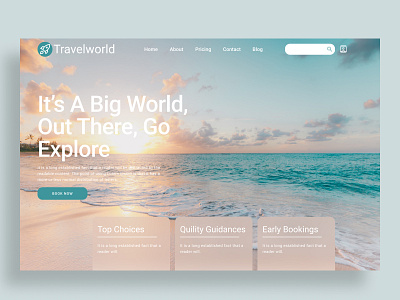 TravelWorld web graphic design ui