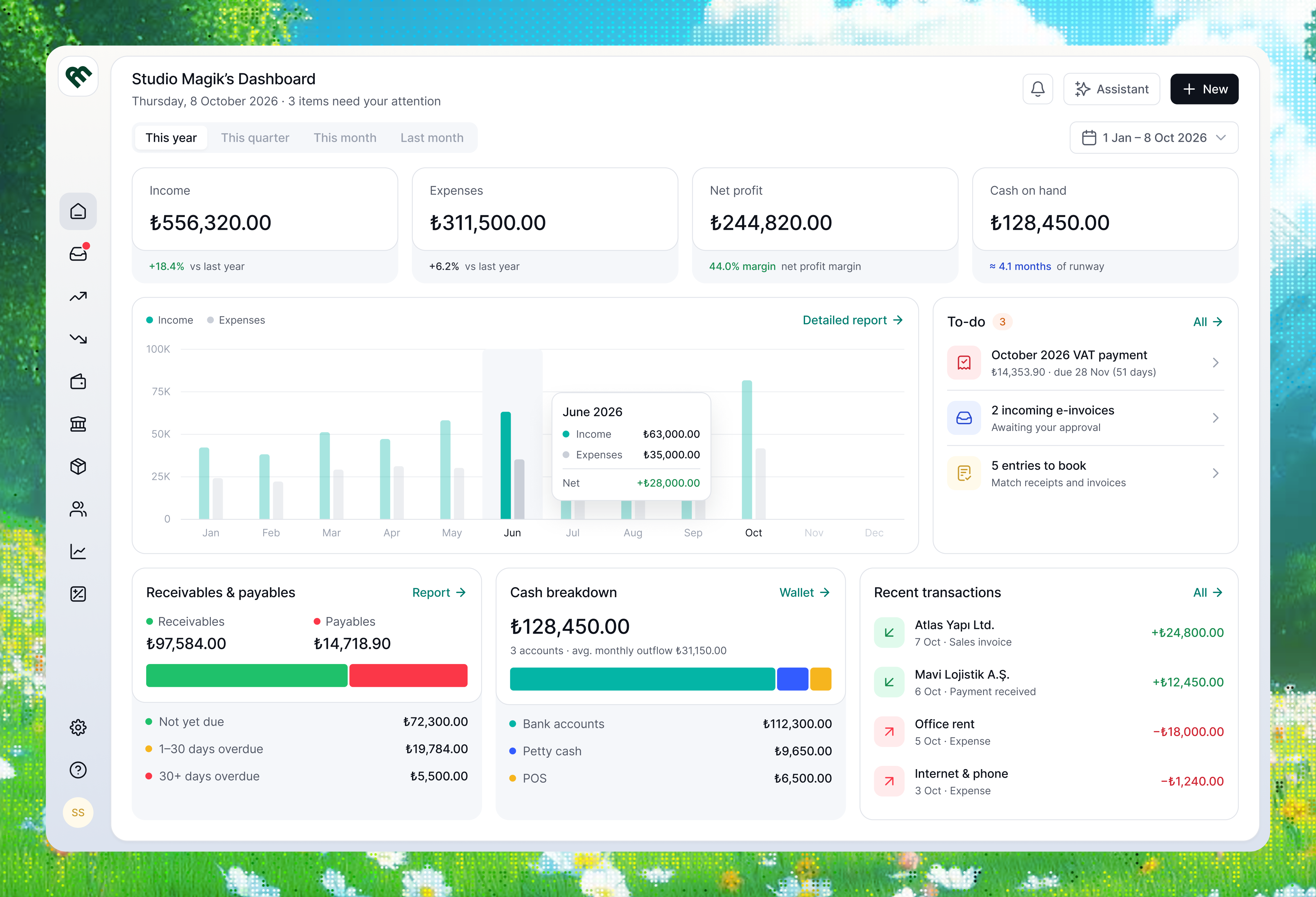 Company Accounting Dashboard app design ui ux