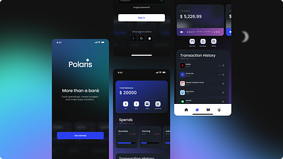 Polaris app banking branding ui