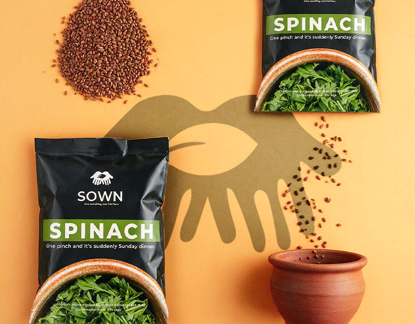 SOWN — Urban Seed Brand Identity & Packaging 3d animation branding design graphic design illustration label logo motion graphics packaging print product vector