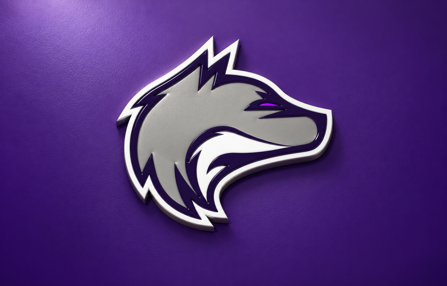 LOBOS | Logo & Team Identity brand identity graphic design logo logo design visual identity