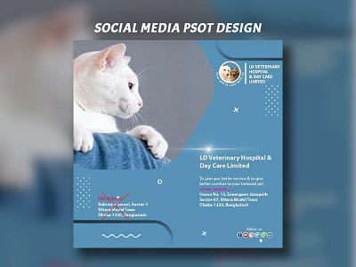 Social Media Post, FaceBook, Instagram branding brochure business business flyer design facebook post graphic design illustration logo