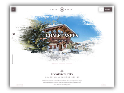 Chalet Aspen Web Design booking chalet hotel ski ui ux web web design webflow website