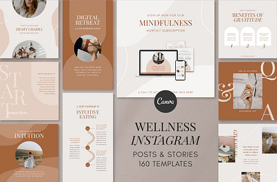 Wellness Instagram Template Kit webinar promotion
