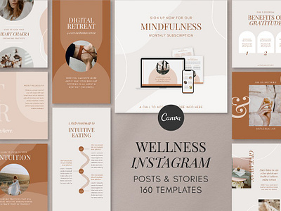 Wellness Instagram Template Kit webinar promotion