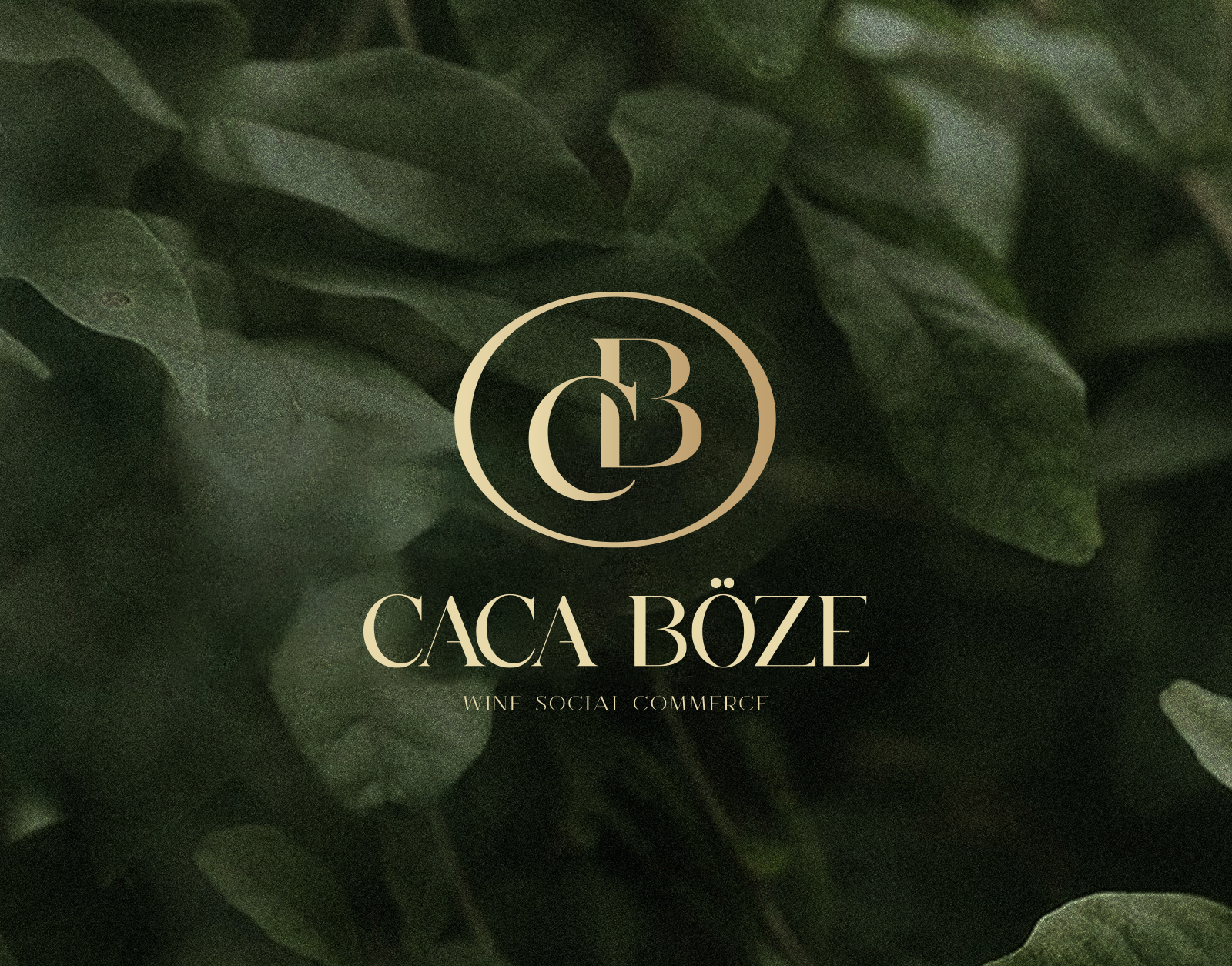 caca böze logo design graphic design logo
