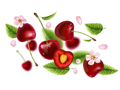 Cherry flying composition berries cherry flowers illustration leaves realistic vector