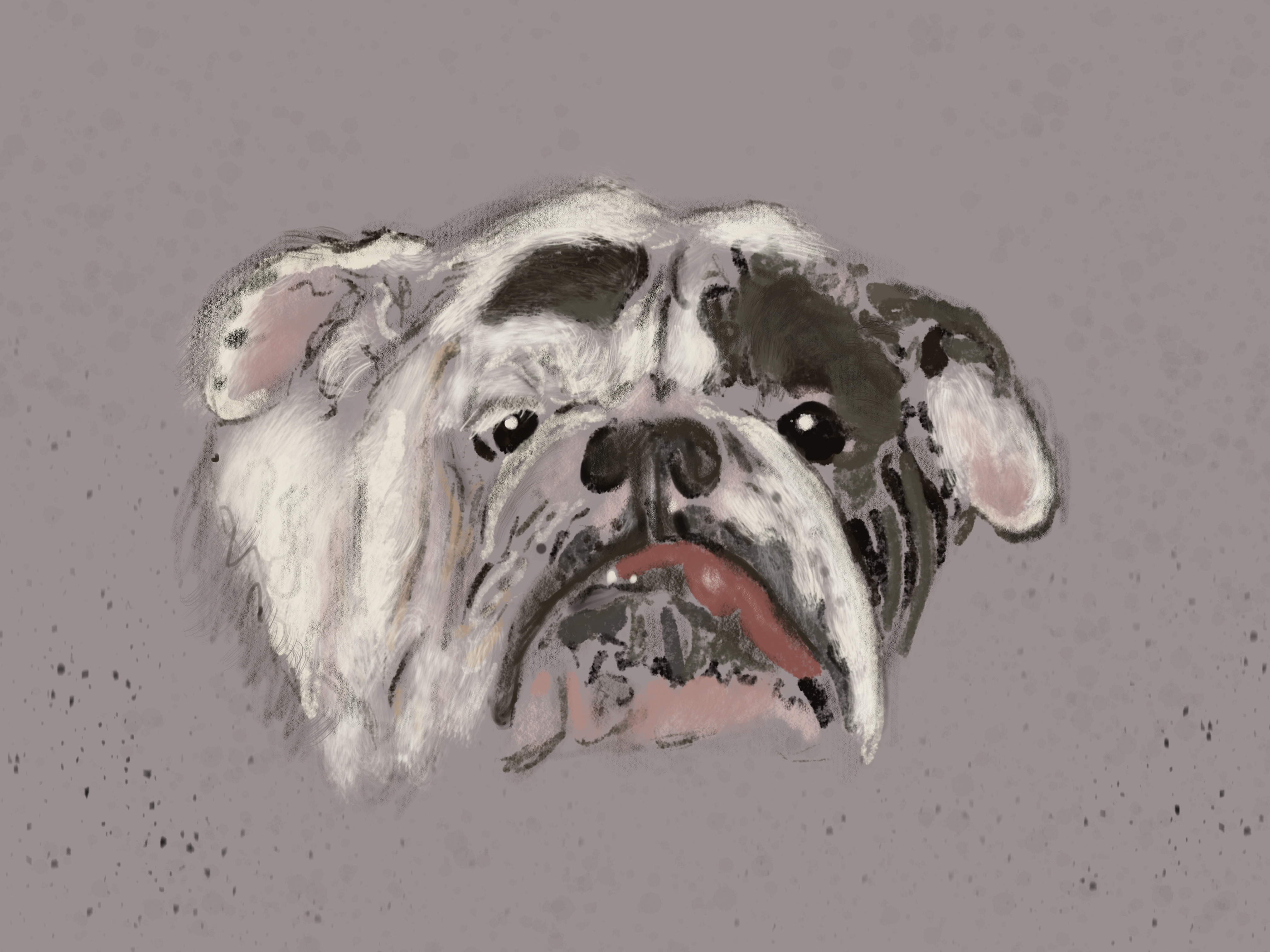 Bulldog Dog Breed Isolated on White Background Digital Art Illustration  Mediumsized Breed of Dog English Bulldog or British Stock Illustration   Illustration of cane funny 246301934