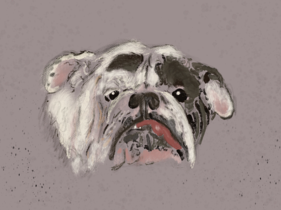 My Dogs bulldog dog englishbulldog frenchbulldog frenchie illustration procreate