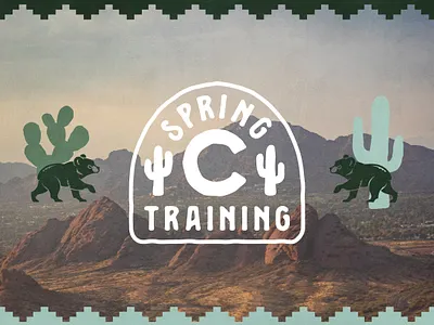 Chicago Cubs Spring Training Creative arizona branding chicago chicago cubs cubs design hand drawn handdrawn illustration spring training