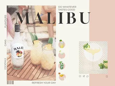 Malibu Inspiration branding design graphic design illustration ui