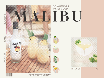 Malibu Inspiration branding design graphic design illustration ui