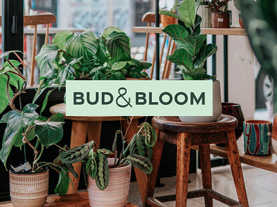 Bud & Bloom branding design graphic design logo typography vector