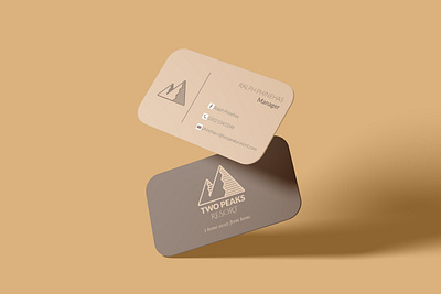 Business card design branding design graphic design illustration logo