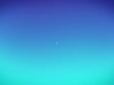 Video Promotion animation branding design illustration motion graphics vector