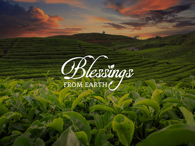Blessings from Earth logo brand branding coffeelogo design graphic design illustration logo tea typography