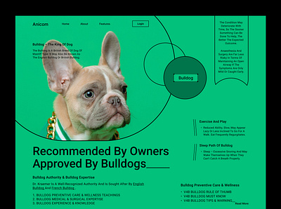 Animal web interface animal bulldog care cute design dog green interface landing page pet pet care puppy store ui ux web header web interface webdesign wild