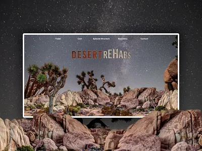 DESERT REHABS branding creative design editor x illustration logo marketing reality show website responsive design responsive website tv show website ui webdesign webdesignagency website design wix designer