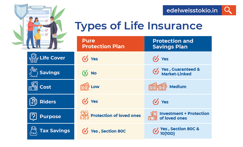 Life Insurance Definition, Meaning and Types by Sushmita Sinha on Dribbble