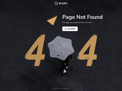 404 Error Page 404 404 error page 404 page dailyui008 error notfound shop shop 404 store ui uiux ux website
