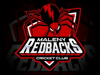 MALENY REDBACKS animal animation black branding club cricket graphic design logo maleny red redbacks sports