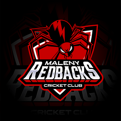 MALENY REDBACKS animal animation black branding club cricket graphic design logo maleny red redbacks sports