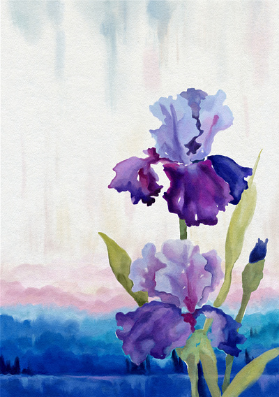 Irises of the Negev book cover flowers illustration print procreate watercolour