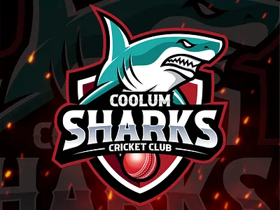 COOLUM SHARKS branding club coolum cricket design graphic design icon illustration logo sharks sports typography vector
