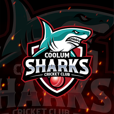 COOLUM SHARKS branding club coolum cricket design graphic design icon illustration logo sharks sports typography vector