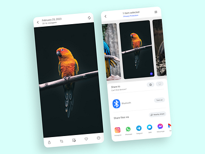 Social Share UI adobe xd app behance daily ui design figma ui