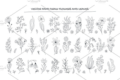Vector hand draw flowers and leaves drawing flowers hand draw illustration