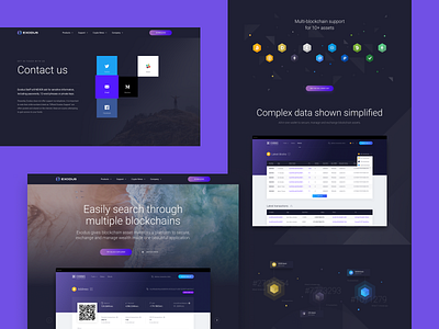 Exodus website case study IV bitcoin block explorer blockchain contact crypto ethereum ui ux web website