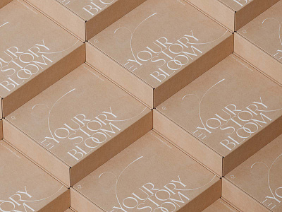 Box Mockups box branding bundle design download identity logo mockup mockups packaging paper box psd template typography