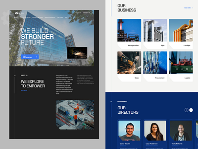 Website Design for Steel Industrial Company design landing page steel company website ui web design web development web site design website design