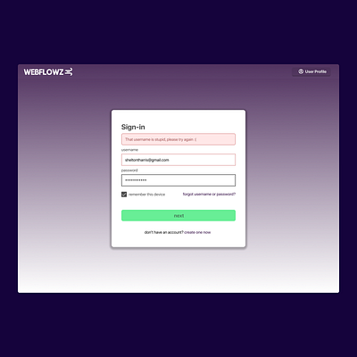 WEBFLOWZ Sign-In Page desktop error sign in ui ux web