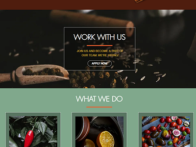 U & I Taste Developers - Spices Business Wix Website Case Study adobe illustrator animation app brand identity branding case study graphic design logo minimal website reponsive design spices web design typography ui ux ux writing vector wix