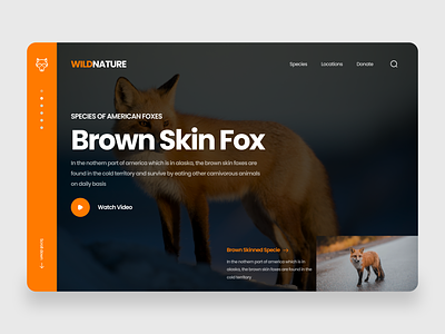 Fox Web Interface fox ui ux web websit