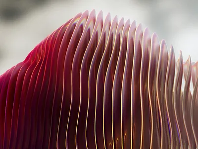 coral. 3d 3dart abstract cgi colorful digitalart illustration organic redshift render