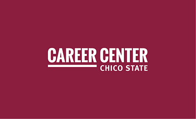 CSU, Chico Career Center Rebrand brand guide branding brochures folio graphic design logo posters print design web design