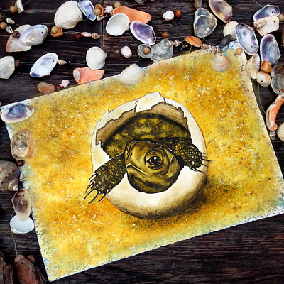 "New born" art design illustration illustrator jpg nature ocean poster print turtle typography watercolor