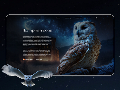 Main page about polar white owls branding concept design graphic design illustration landing page logo ui web design