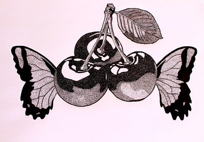 Cherry Butterfly ink on paper 29 x 42 cm illustration