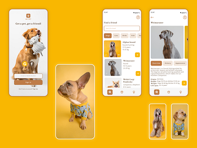 Mobile App My Pet android app app design design figma interface design logo mobile app ui uxui