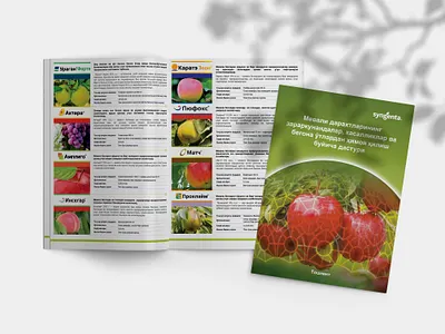 catalog brending catalog design graphic design