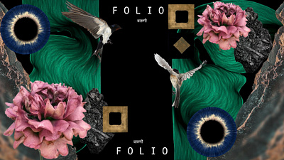 FOLIO design graphic design illustration