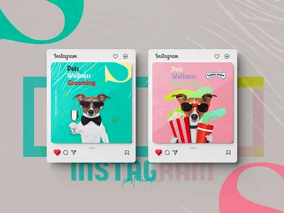 Dog Food Social Media Banner Design ad advertiging branding cover design facebook ad design facebook cover facebook cover design food food banner design graphic design instagram ad instagram psot pet poster design social media ad banner social media banner social media post design stories web banner